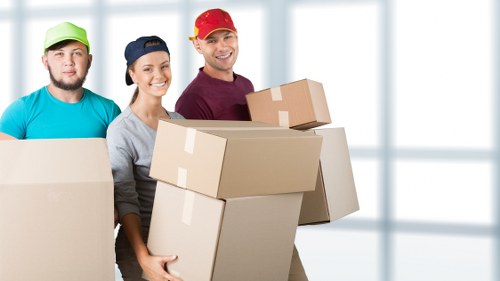 Decluttered living room with practical household storage in Bromley